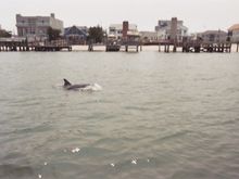 023_22A.JPG