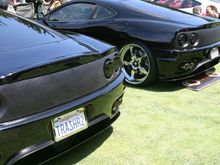 IMG_7169.JPG