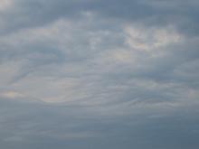 IMG_0440.jpg