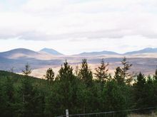 Image034_33.jpg