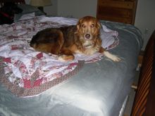 DarwinFlorida2004.jpg