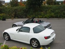 IMG_4923.jpg