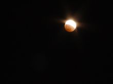 DSC04010.JPG