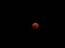 DSC04050.JPG