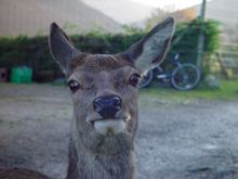 DSC05628.jpg