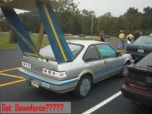 wing.jpg