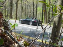Through sticks small.jpg
