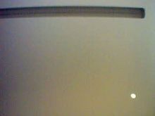 Picture(19).jpg