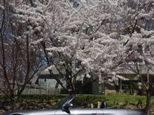 S2000 - April '05 007.jpg