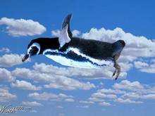 flying