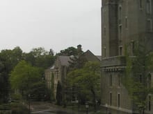 Cornell 1.JPG