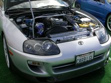 DSCN4334.JPG
