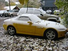 snowed_on.JPG