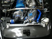 DSC00176.JPG