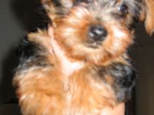 Picture 019.jpg