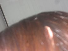 Picture 019.jpg