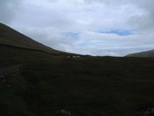 DSCF0042.JPG