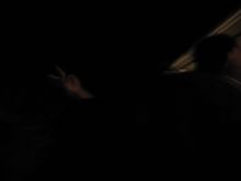 Picture 081.jpg