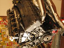 IMG_0855.JPG