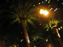 Picture 123.jpg