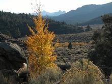 051022 view 4124.JPG
