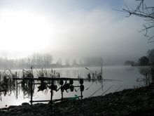 IMG_0025.jpg