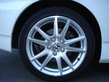 DSC00790.JPG