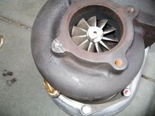 for sale 008.jpg