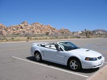 IMG0015.JPG