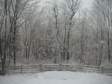 PICT0002s.JPG