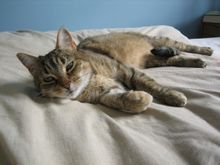 IMG_1334.JPG