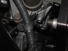 DSC00032.JPG