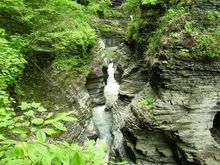 100_0143.jpg