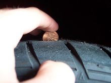 100_4583.JPG
