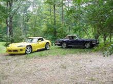 viper tr V.jpg