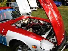 IMG_2983.jpg