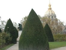 DSC_1059.JPG