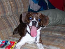 Abby