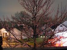 DSC00088 (Medium).jpg
