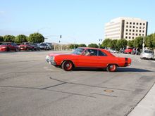 IMG_2262 crop.jpg