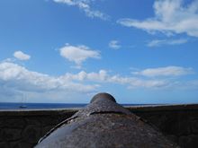 cannon 1.jpg