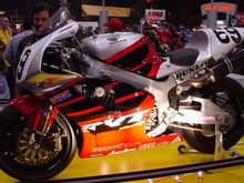 nicky_rc51.jpg