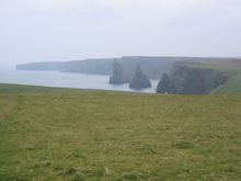 IMG_2002.jpg