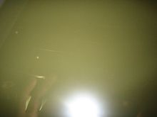 oilpan-IMG_1112.jpg