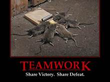 teamwork.jpg