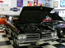 GTO (1 of a kind)