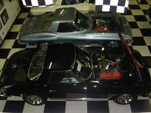 DSC01493.JPG