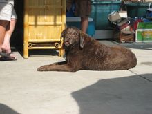 IMG_4291.JPG