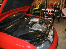 IMG_0459.jpg