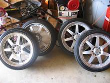 IMG_4872 (Large).JPG